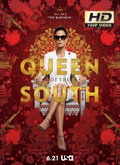 Queen of the South Temporada 1 [720p]